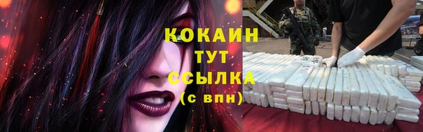 гашик Вязники