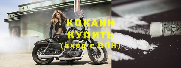 гашик Вязники