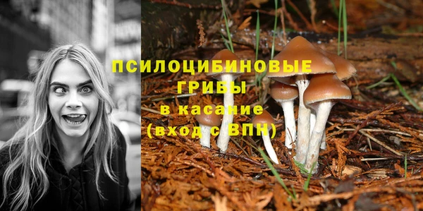 гашик Вязники