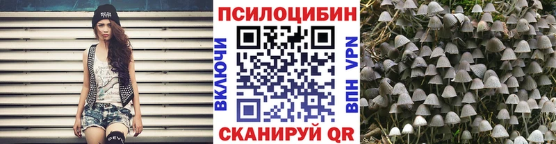 Купить  Киселёвск  Галлюциногенные грибы мухоморы 